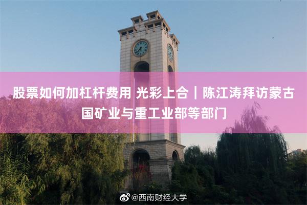 股票如何加杠杆费用 光彩上合｜陈江涛拜访蒙古国矿业与重工业部等部门