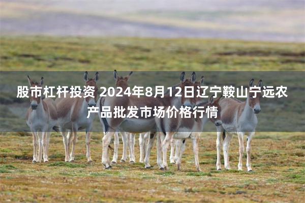 股市杠杆投资 2024年8月12日辽宁鞍山宁远农产品批发市场价格行情