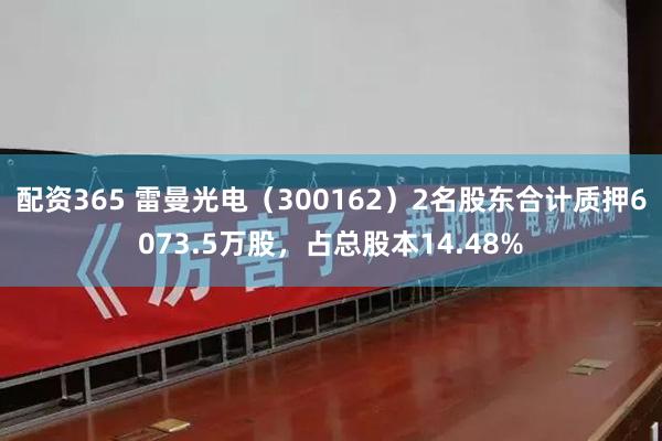 配资365 雷曼光电（300162）2名股东合计质押6073.5万股，占总股本14.48%