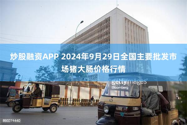 炒股融资APP 2024年9月29日全国主要批发市场猪大肠价格行情