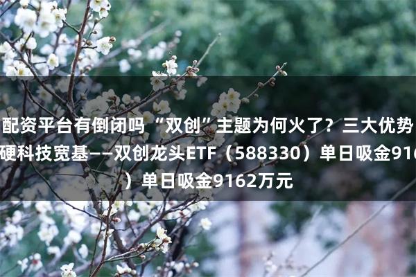 配资平台有倒闭吗 “双创”主题为何火了？三大优势凸显！硬科技宽基——双创龙头ETF（588330）单日吸金9162万元