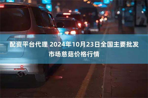 配资平台代理 2024年10月23日全国主要批发市场慈菇价格行情