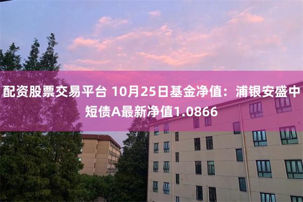 配资股票交易平台 10月25日基金净值：浦银安盛中短债A最新净值1.0866