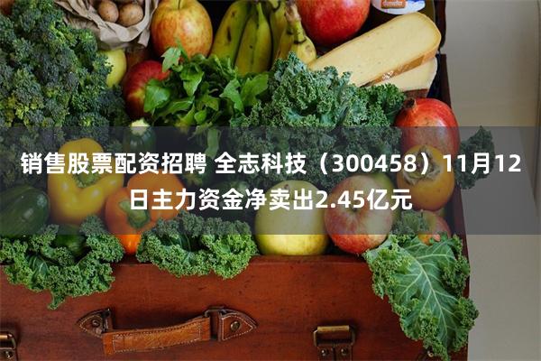 销售股票配资招聘 全志科技（300458）11月12日主力资金净卖出2.45亿元