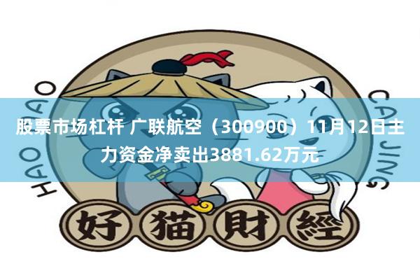 股票市场杠杆 广联航空（300900）11月12日主力资金净卖出3881.62万元