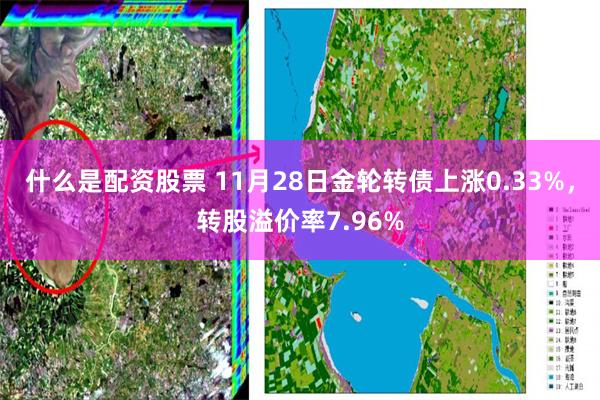 什么是配资股票 11月28日金轮转债上涨0.33%，转股溢价率7.96%