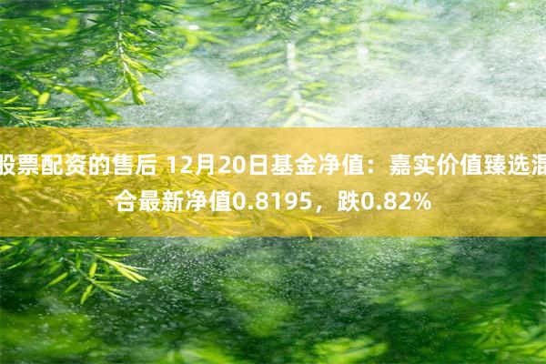 股票配资的售后 12月20日基金净值：嘉实价值臻选混合最新净值0.8195，跌0.82%