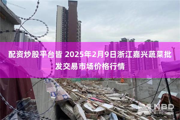 配资炒股平台皆 2025年2月9日浙江嘉兴蔬菜批发交易市场价格行情