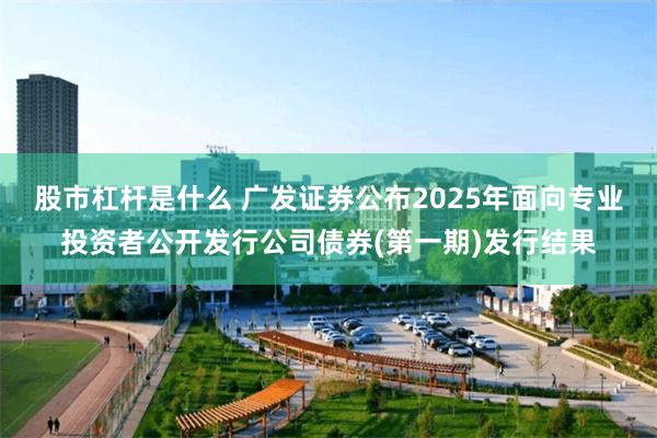 股市杠杆是什么 广发证券公布2025年面向专业投资者公开发行公司债券(第一期)发行结果