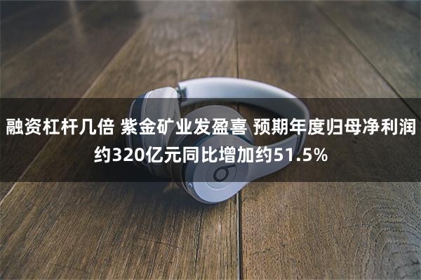 融资杠杆几倍 紫金矿业发盈喜 预期年度归母净利润约320亿元同比增加约51.5%